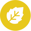 Icon 5