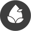 Icon 4