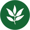 Icon 6