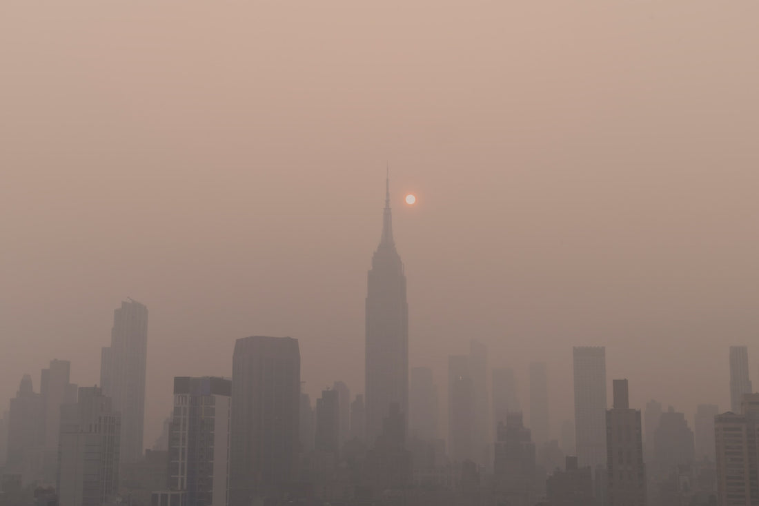 The Impact of Air Quality Alerts on Drinking Water