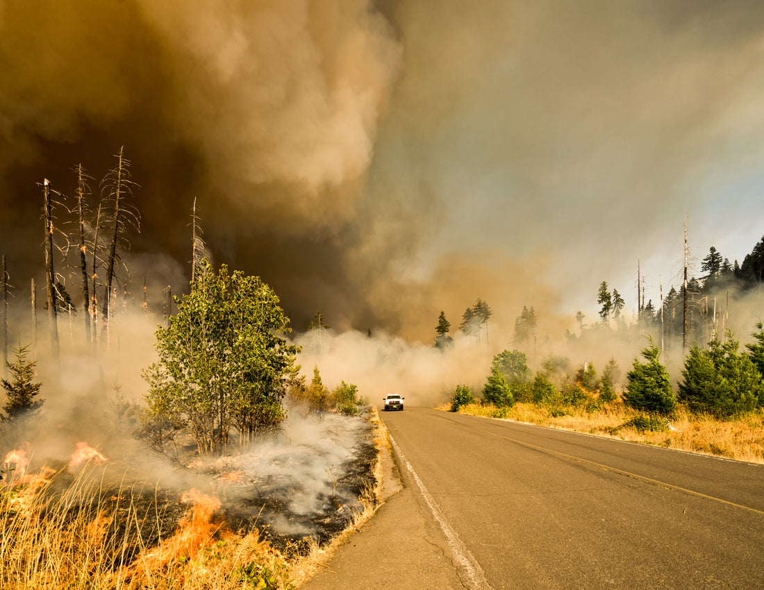 Safeguarding Your Water Supply During Wildfires Against Smoke and Ash: Yes We Can - Protecting Your Hydration Needs